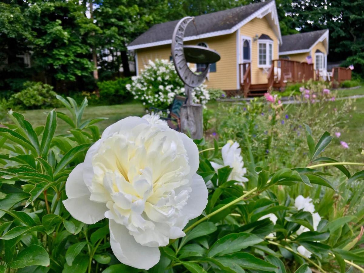 Sand Bar Cottage Inn Bar Harbor Extérieur photo